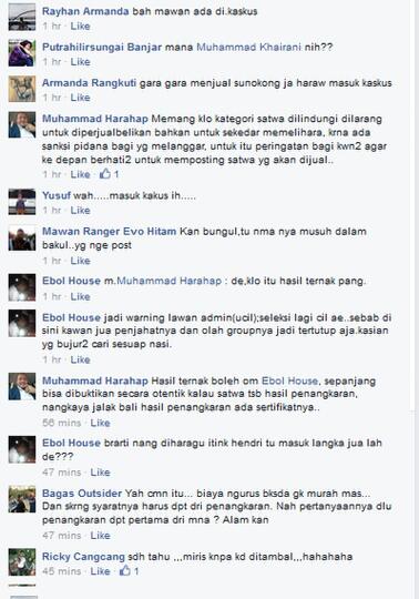 MIRIS. DI BANJARMASIN HEWAN LANGKA DILINDUNGI DIJUAL BEBAS DI MEDIA SOSIAL