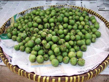 Buah-buahan langka yang tergusur oleh waktu