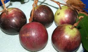 Buah-buahan langka yang tergusur oleh waktu