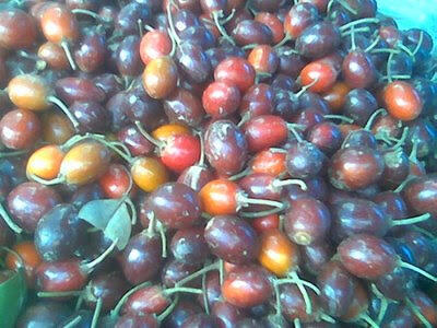 Buah-buahan langka yang tergusur oleh waktu