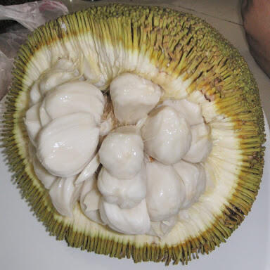 Buah-buahan langka yang tergusur oleh waktu