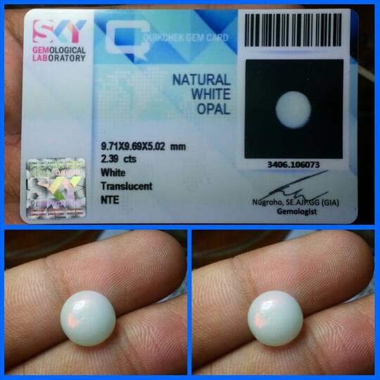 BOB (Black Opal Banten) atau Kalimaya.. Nyok BOBers..
