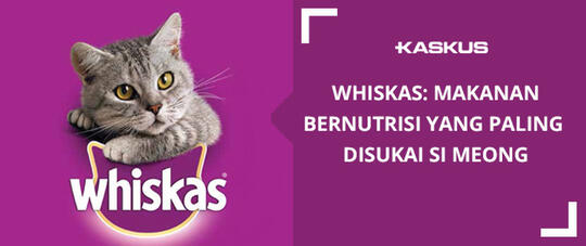 Whiskas Makanan Bernutrisi Yang Paling Disukai Si Meong Kaskus