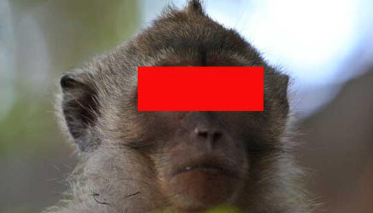 Ane Udah Bertapa Nebakin Tapi Tetep Gak Tau Nih Hewan Apa Ada Yg