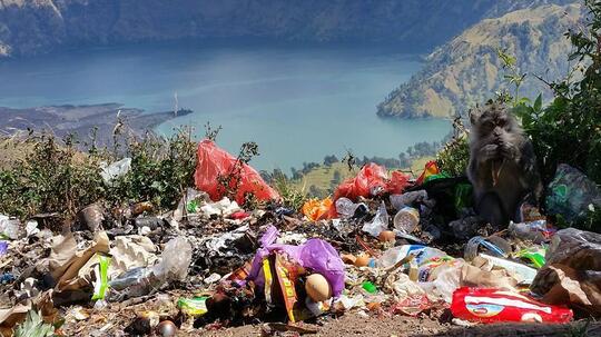 Ini Dia Aksi Bule Membersihkan Sampah Di Gunung Rinjani
