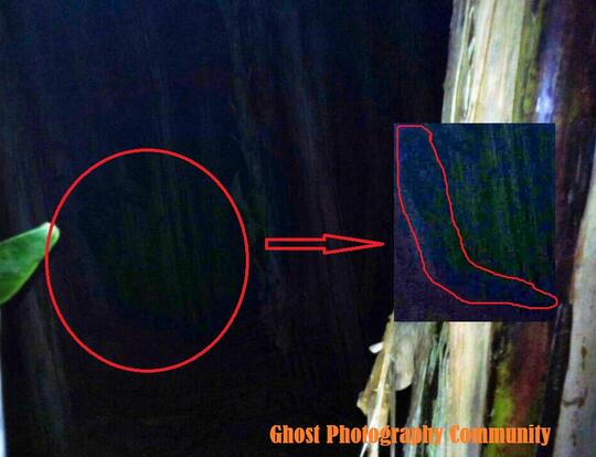 100+ Gambar Pocong Muka Ancur Kekinian 100+ Gambar Pocong Muka Ancur Kekinian