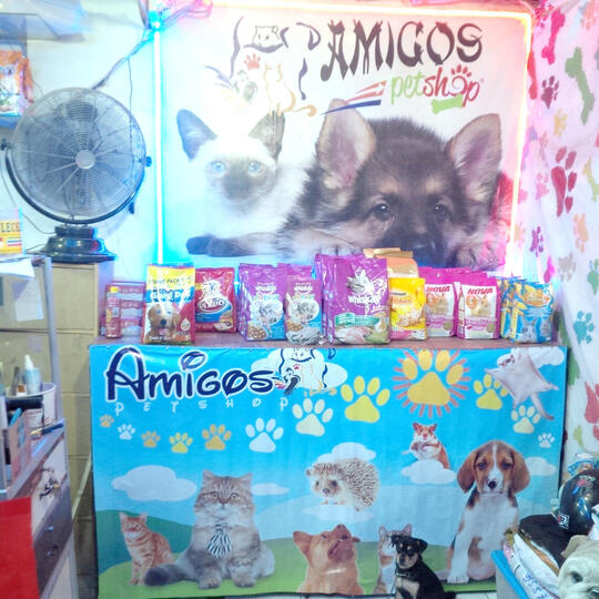 Amigos Petshop Makassar Petshop Terlengkap Dan Terpercaya Kaskus