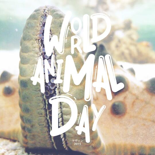 4 Oktober, hari lebarannya binatang, karena ada WORLD ANIMAL DAY