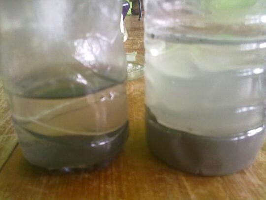 Pembuatan Sabun Cair Dari Abu Kayu Randu Dan Minyak Jelantah