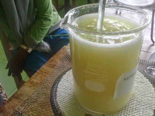Pembuatan Sabun Cair Dari Abu Kayu Randu Dan Minyak Jelantah