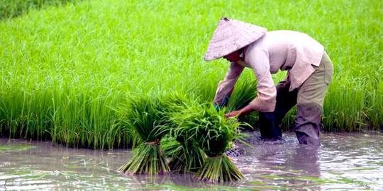 Tanpa Kita Sadari Jasa Orang-Orang Ini Membantu Meringankan Kehidupan Kita