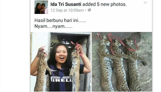 Balasan dari Berita Kucing: Kisah Dibalik Foto Ida dan Bangkai 