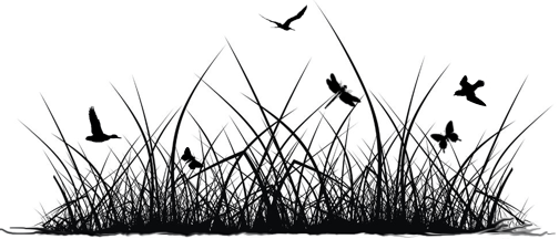 Room of Creedle (Creepy Pasta & Riddle) 2