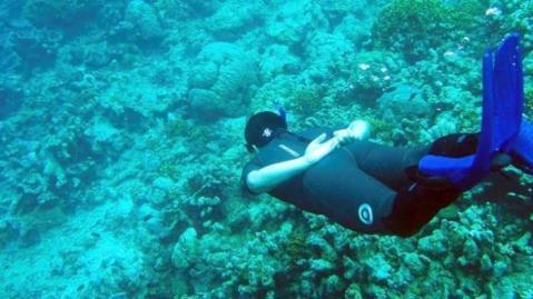 Empat Titik Menyelam Paling Terkenal di Indonesia, Tawarkan Pemandangan yang Luar Bia