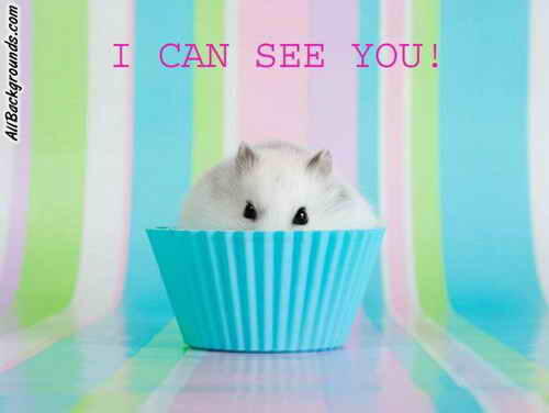 Mengusir Tikus Dengan Cara Mudah Dan Murah Dengan Kulit Telur Kaskus Mengusir Tikus Dengan Cara Mudah Dan Murah Dengan Kulit Telur Kaskus