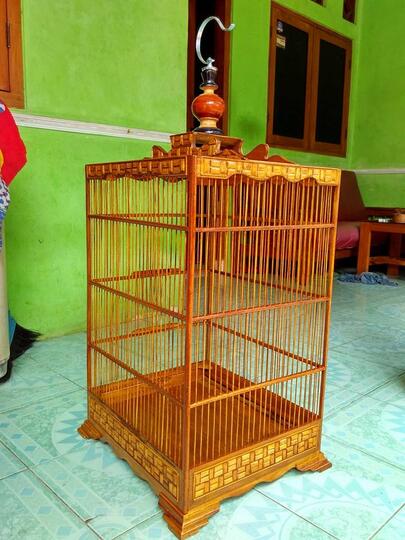 Jalak Dan Semua Jenisnya Page 86 Kaskus