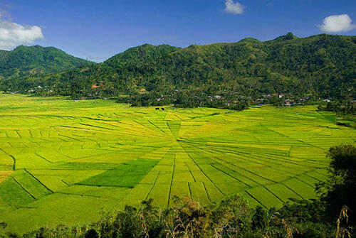 Ruteng di pulau flores, Kota yang Dingin Namun Hangat