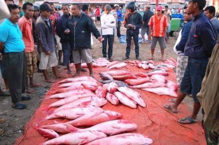 Perkenalkan, Ini Kota Kupang