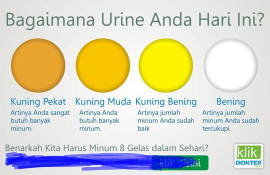 Warna Feses Dan Urine Menggambarkan Kesehatan Agan Kaskus