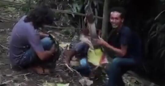 Bunga Bangkai Langka Dirusak Sambil Cekikikan