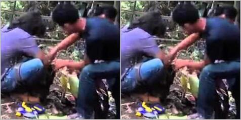 Bunga Bangkai Langka Dirusak Sambil Cekikikan