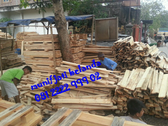 Terjual kayu pinus luar negeri/jati belanda triplek bekas 