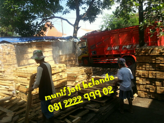 Terjual kayu pinus luar negeri/jati belanda triplek bekas 