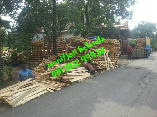 Terjual kayu pinus luar negeri jati belanda triplek bekas  