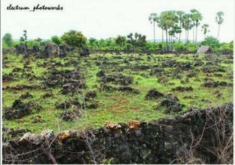 Perkenalkan, Ini Kota Kupang