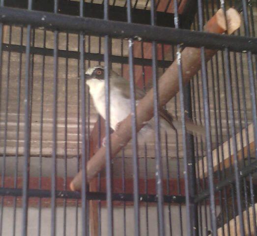 Trucukan Lover Page 79 Kaskus