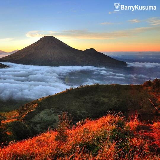 Mengenal lebih dalam Kamera Mirrorless.