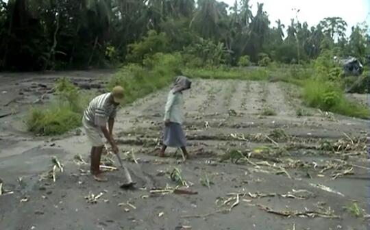 Alasan Kenapa Banyak Sarjana Pertanian Milih Kerja Di Bank Page