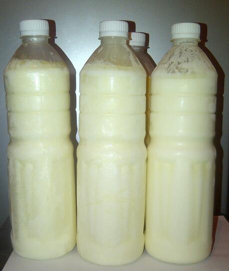 All about Kefir, Susu Fermentasi Berjuta Manfaat