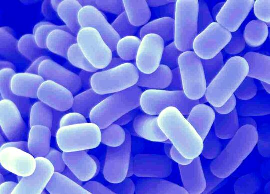 All about Kefir, Susu Fermentasi Berjuta Manfaat