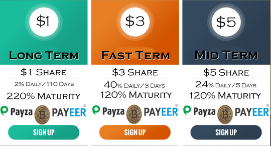 The Real Passive Income! $200/day, No surf, No Repurchase,up to 220% ROI Cekidot gan!