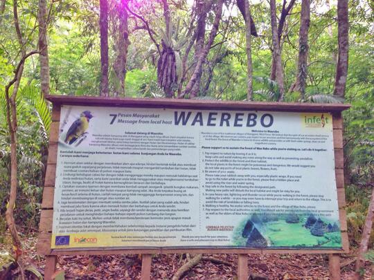 Backpackeran murah ke Waerebo