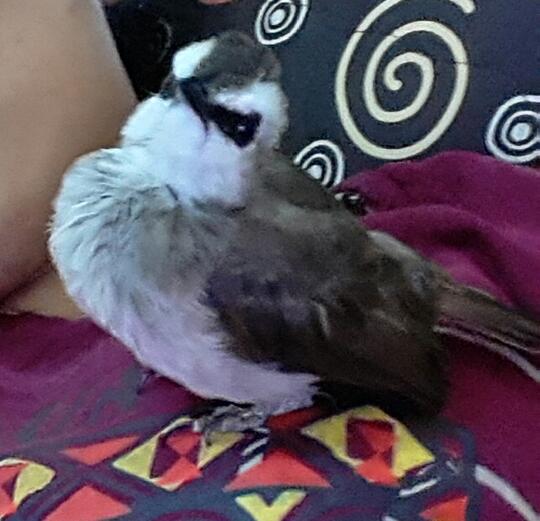 Trucukan Lover Page 80 Kaskus