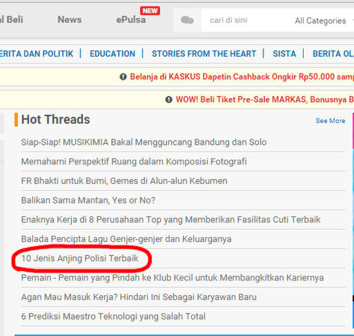 10 Jenis Anjing Polisi Terbaik