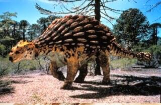 300 Gambar Dinosaurus Sebenar HD Paling Baru 300 Gambar Dinosaurus Sebenar HD Paling Baru