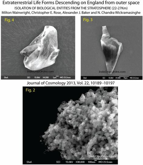 Astrobiologis Temukan "Partikel Hantu" : Apakah ini Bukti Dari Adanya Alien ?