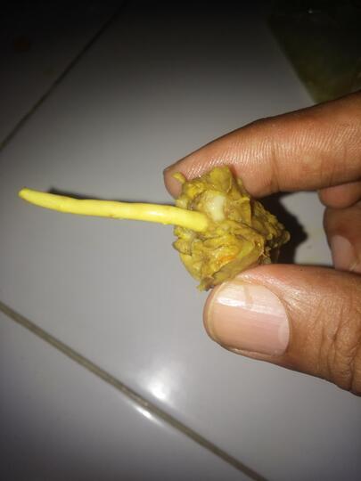 Ada daging agak aneh di Soto Ayam (daging ayam apa bukan ya ???)