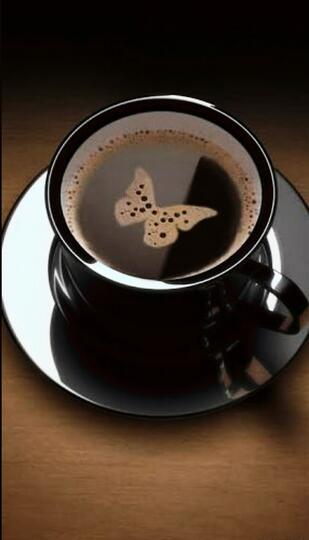 Coffee Lover