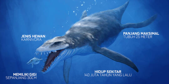 5 Hewan Terbesar Yang Ada Di Dunia Kaskus