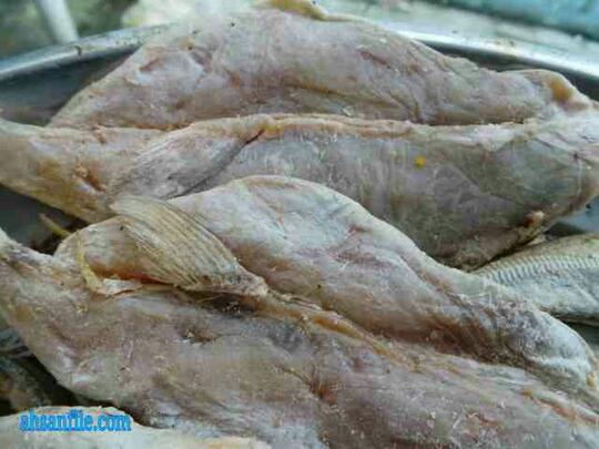 Yuk Gan Kita Telusuri Macam Macam Ikan Asin Yang Populer Di