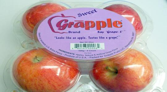 10 Hasil Rekayasa Genetika Yang Luar Biasa Kaskus