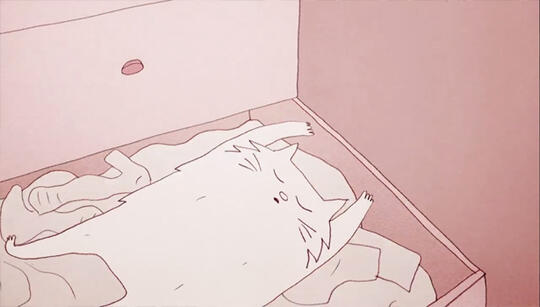 Kenapa kucing bertingkah aneh ( Menggemaskan )? *Explanation with Animation