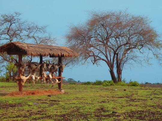 Taman Nasional Baluran The Little Afrika In Java Page4