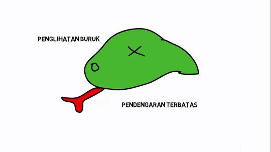 Kenapa Sih Ular Sering Menjulurkan Lidahnya Keluar Kaskus