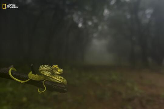 19 Foto Kontes NatGeo 2016 Ini Bikin Kamu Sadar Bagaimana Kondisi Alam Sekarang