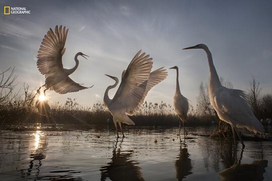 19 Foto Kontes NatGeo 2016 Ini Bikin Kamu Sadar Bagaimana Kondisi Alam Sekarang